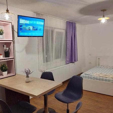 Ferienwohnung Garsoniera Dania&Petru 1 Tîrgu Ocna Exterior foto