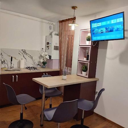 Ferienwohnung Garsoniera Dania&Petru 1 Tîrgu Ocna Exterior foto