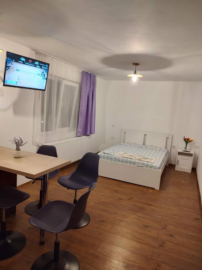 Ferienwohnung Garsoniera Dania&Petru 1 Tîrgu Ocna Exterior foto