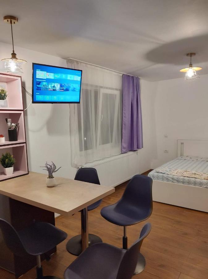 Ferienwohnung Garsoniera Dania&Petru 1 Tîrgu Ocna Exterior foto