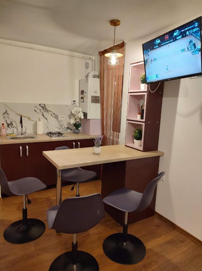 Ferienwohnung Garsoniera Dania&Petru 1 Tîrgu Ocna Exterior foto