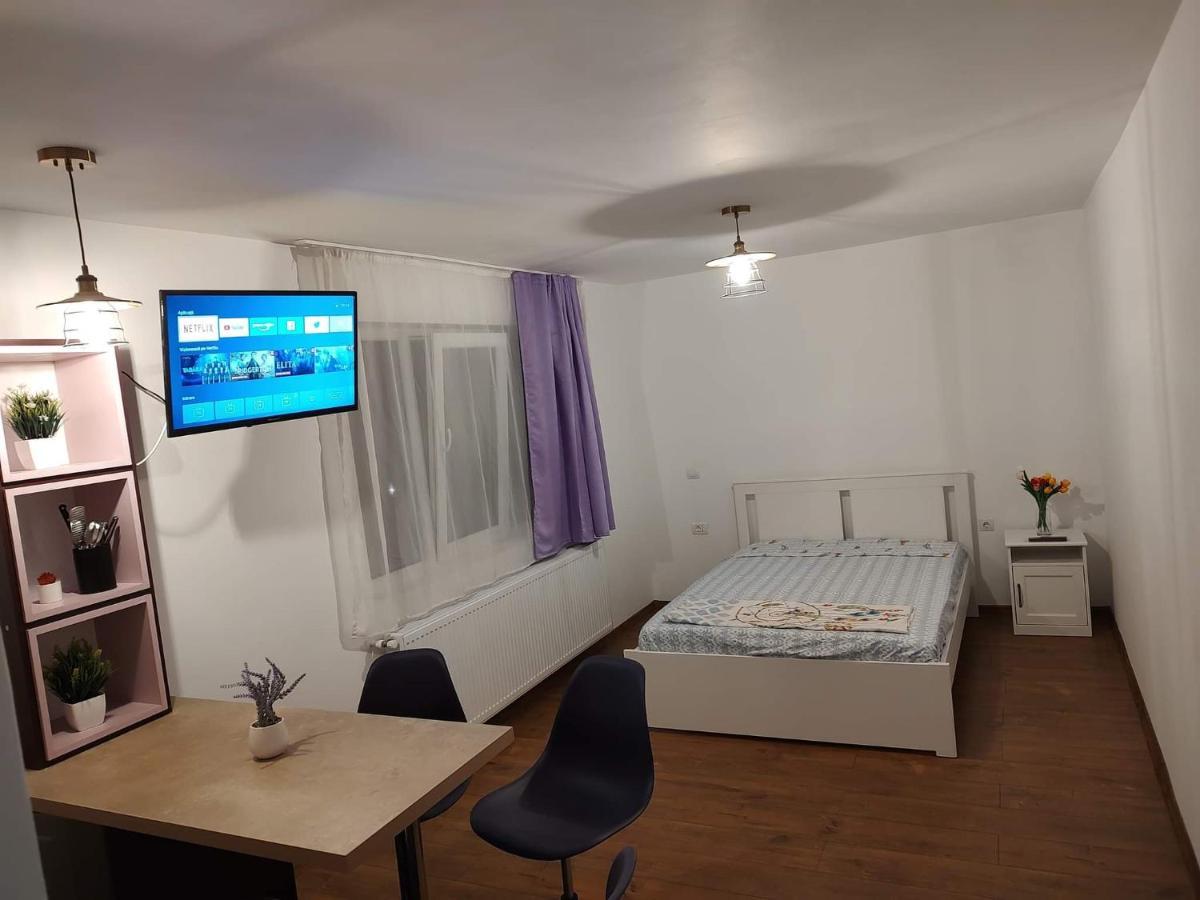 Ferienwohnung Garsoniera Dania&Petru 1 Tîrgu Ocna Exterior foto