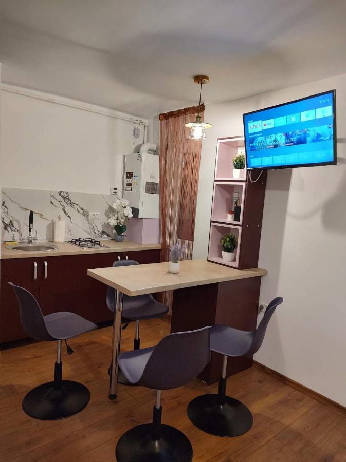 Ferienwohnung Garsoniera Dania&Petru 1 Tîrgu Ocna Exterior foto